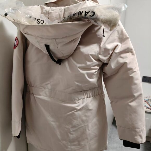 Canada goose - Picture 4 of 5